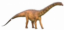 Diplodocus | DinoPedia - The Dino Dan Wiki | Fandom