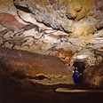 The Cave of Lascaux: A Slice of Our Ancestry in Montreal - Montreall ...