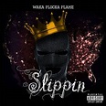 Álbum Slippin de Waka Flocka Flame