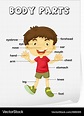 Body parts diagram poster Royalty Free Vector Image