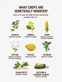 GMO crops chart - RawFoodLife, LLC
