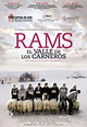 Rams: El valle de los carneros (Hrútar) – Insertos Cine
