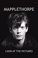 Mapplethorpe: Look at the Pictures (2016) - Posters — The Movie ...