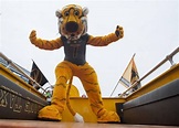 Image result for truman the tiger mascot Mizzou Tigers Football ...