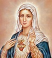 Divine Mercy Apostolate: Holy Mary, Mother of God