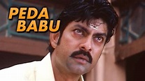 Watch Peda Babu (2004) Full Movie Online - Plex