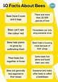 10 Fascinating Bee Facts for Kids | Free PDF - Moonlight Publishing