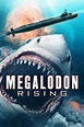 Megalodon Rising | Kukaj.to - Raj online filmov a seriálov