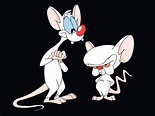 11 Pinky And The Brain HD Wallpapers | Achtergronden - Wallpaper Abyss