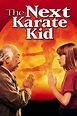 Ver El nuevo Karate Kid 1994 Online Latino HD - Pelicula Completa