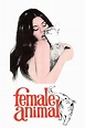 Female Animal (1970) - Posters — The Movie Database (TMDB)