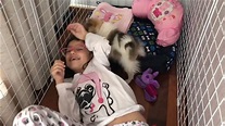 Sofia e seu cachorrinho Dudu Lulu da Pomerania - YouTube