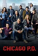 Chicago Police Department Série TV 2014 - NBC - Casting, bandes ...