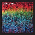 DENIZ TEK - Mean Old Twister - Deniz Tek