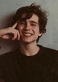 28 Aesthetic and Vintage Timothee Chalamet iPhone Wallpaper Ideas ...