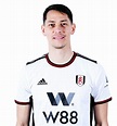 Fulham FC - Saša Lukić