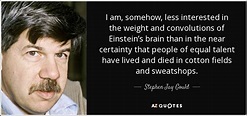 TOP 25 QUOTES BY STEPHEN JAY GOULD (of 304) | A-Z Quotes
