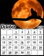 October 2019 Calendar Moon Phases | Moon calendar, New moon calendar ...