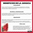 Pin de Mayrayuleth T en Alimentación | Beneficios de la jamaica ...