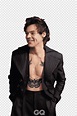 Harry Styles, png | PNGEgg