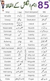 85 Basic English Vocabulary Words with Urdu Meaning | English ...
