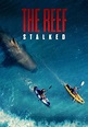 The Reef: Stalked - película: Ver online en español