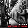 Willie Nile | New York At Night - Tinnitist
