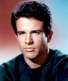 Warren Beatty – Movies, Bio and Lists on MUBI