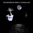 The Sisters Of Mercy – Floodland — Futuro Chile