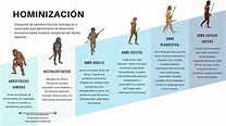 Proceso de Hominización | Addyson Navarro | uDocz