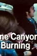 Pine Canyon Is Burning (TV Movie 1977) - IMDb