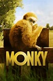 Monky: Kleiner Affe, großer Spass (Film, 2017) | VODSPY