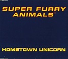 Shots of Freedom: Super Furry Animals - Hometown Unicorn
