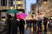 15 cosas que hacer en Nueva York en un día de lluvia, nieve o frío ...
