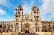 Natural History Museum in London - A Prestigious Museum in South ...