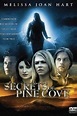 Whispers and Lies also known as Secrets of Pine Cove | Lifetime movies ...