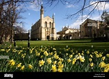 Cheltenham College, Gloucestershire Stock Photo - Alamy