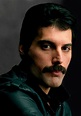 Freddie Mercury photo gallery - 939 high quality pics of Freddie ...