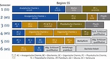 Studienverlaufsplan Beginn SoSe - Fakultät für Chemie und Pharmazie