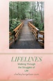 Lifelines - Walking through the Struggles of Life