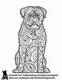 Coloring Dogo de Burdeos: Unique Art for Dog Lovers