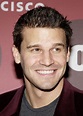 David - David Boreanaz Photo (1558793) - Fanpop