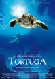 El viaje de la tortuga (Turtle: The incredible journey) (2009)