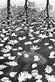 Three Worlds - M.C. Escher - WikiArt.org - encyclopedia of visual arts