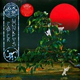 Ozric Tentacles - Paper Monkeys Ed Wynne Remaster - Vinyl 2LP - 2023 ...