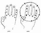 「掐指一算」的具体算法是怎样的？ - 知乎