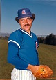 Willie Hernandez Cubs | Baseball Hall of Fame