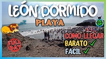 PLAYA LEÓN DORMIDO - CÓMO LLEGAR FÁCIL Y SENCILLO 😎★ FULL DAY 👌🌸 - YouTube