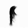Black Hair Png Pic Png Arts | Images and Photos finder