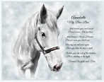Horse Sympathy Cards and Horse Memorial Gifts